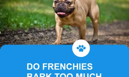 Do Frenchies bark a lot ?