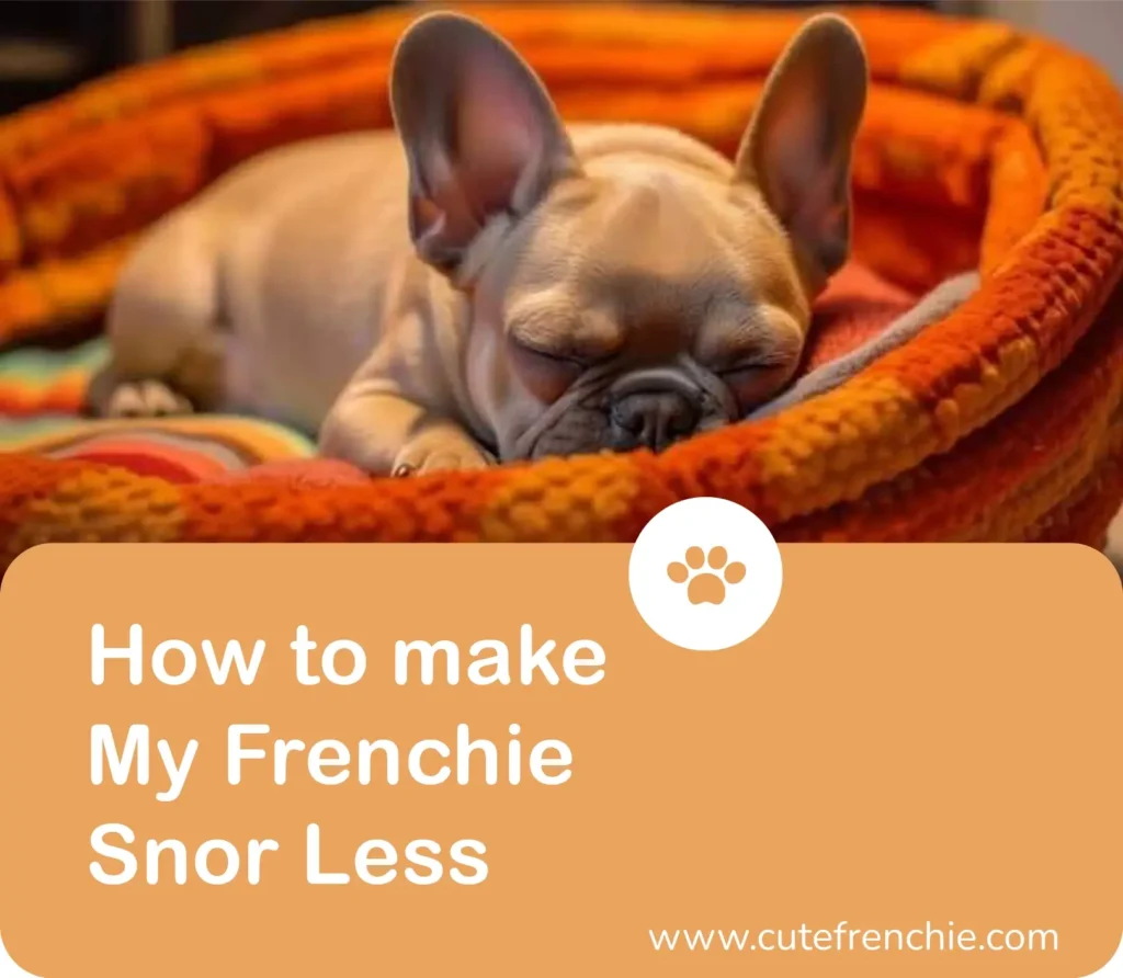 Poster of article containing a cute fawn frenchie sleeping and title :"How to make My Frenchie Snor less"