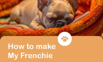 How do I make my Frenchie snore less?