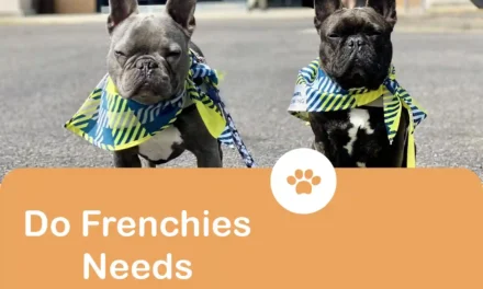 Do French Bulldogs need grooming?