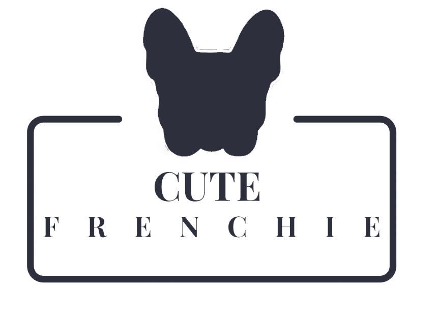 Cute Frenchie |Top-notch Guides and Tips for French Bulldog Owners