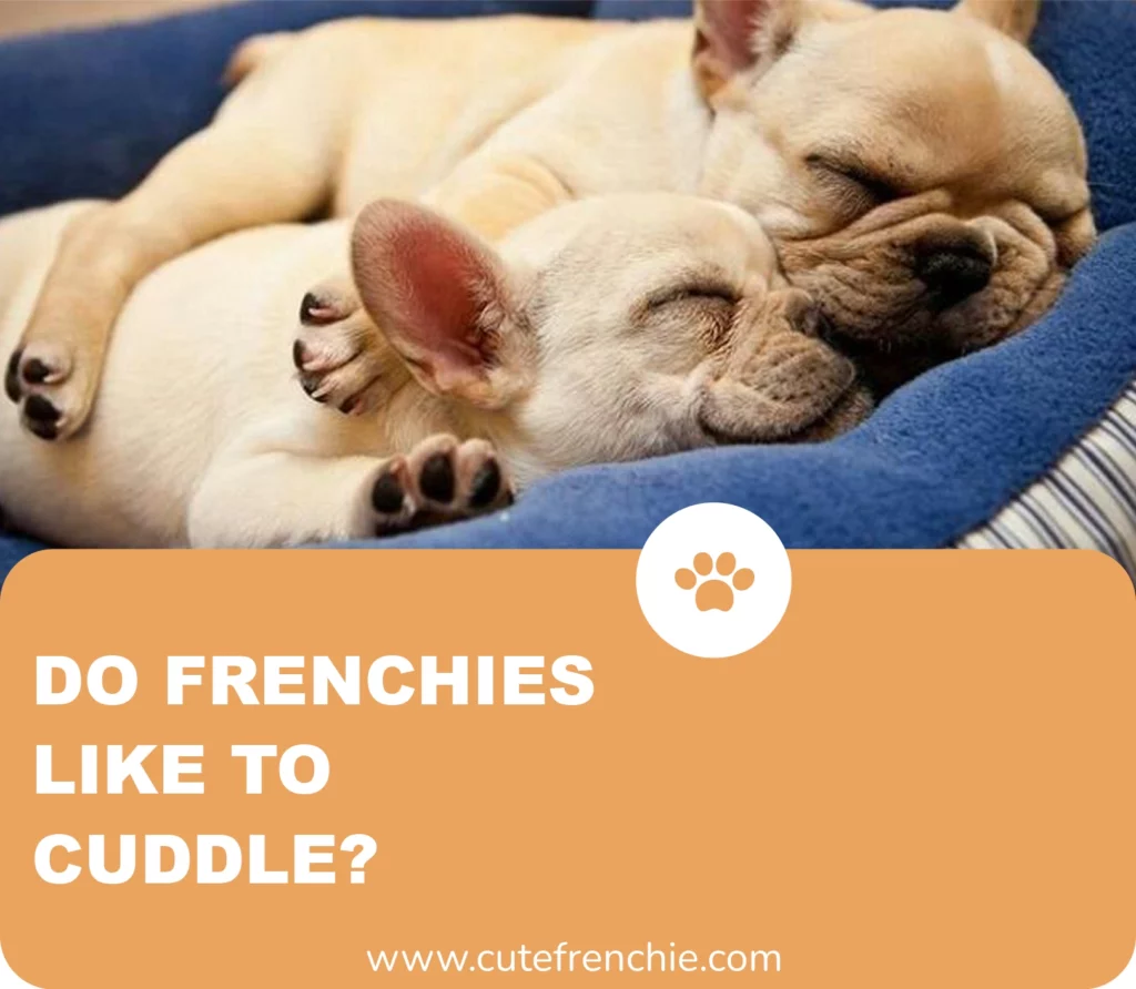 poster of frenchies like to cuddle