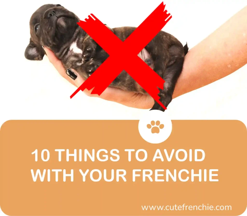 Poster of 10 things not to do with french bulldog