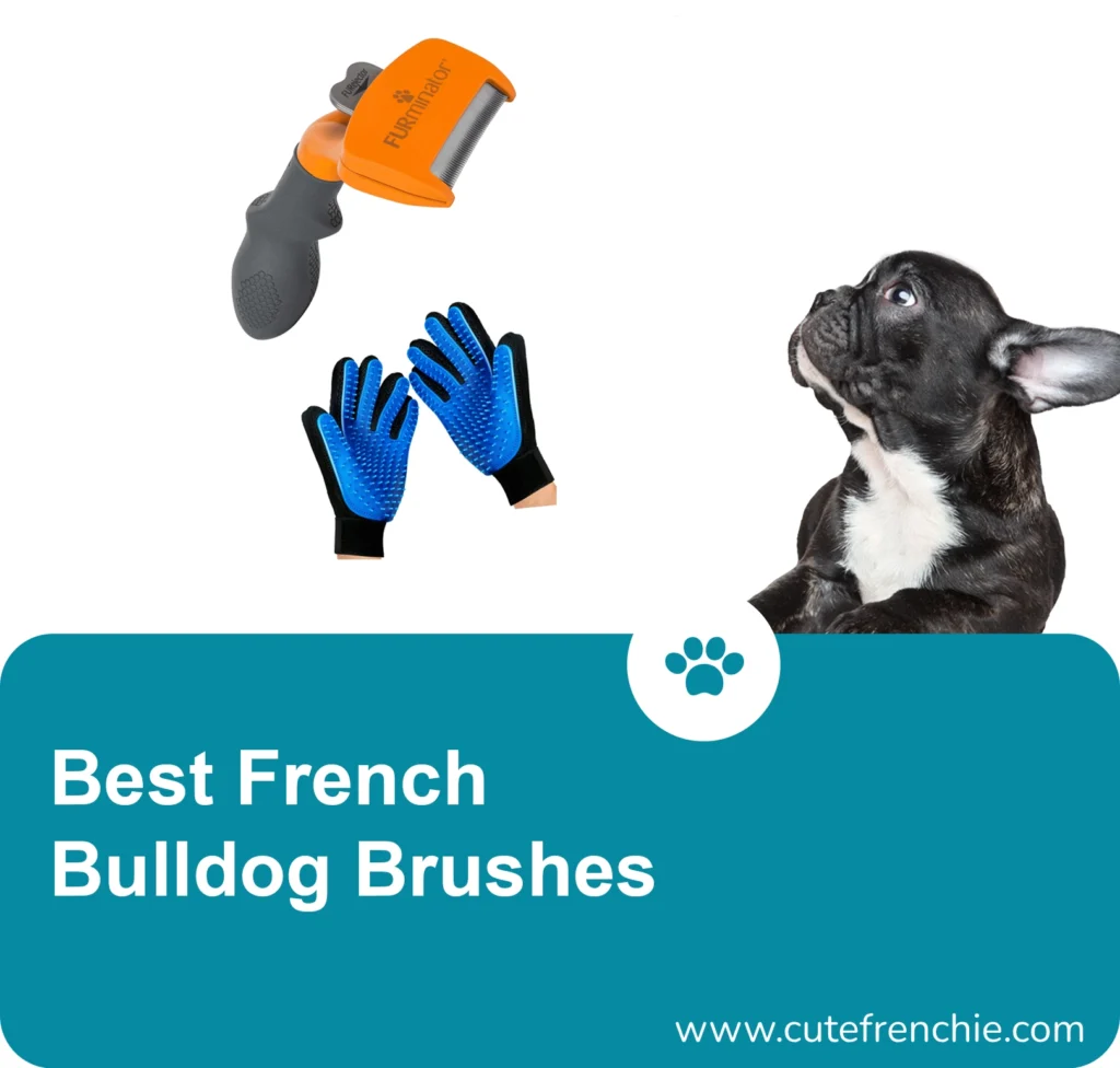 Poster of best french bulldog brushes