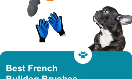 Best French Bulldog Brushes