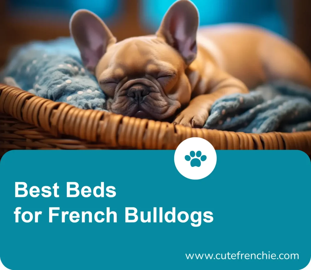 Poster of french bulldog beds