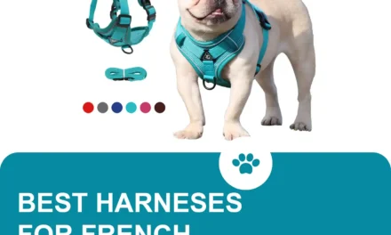 Best harnesses for french bulldog