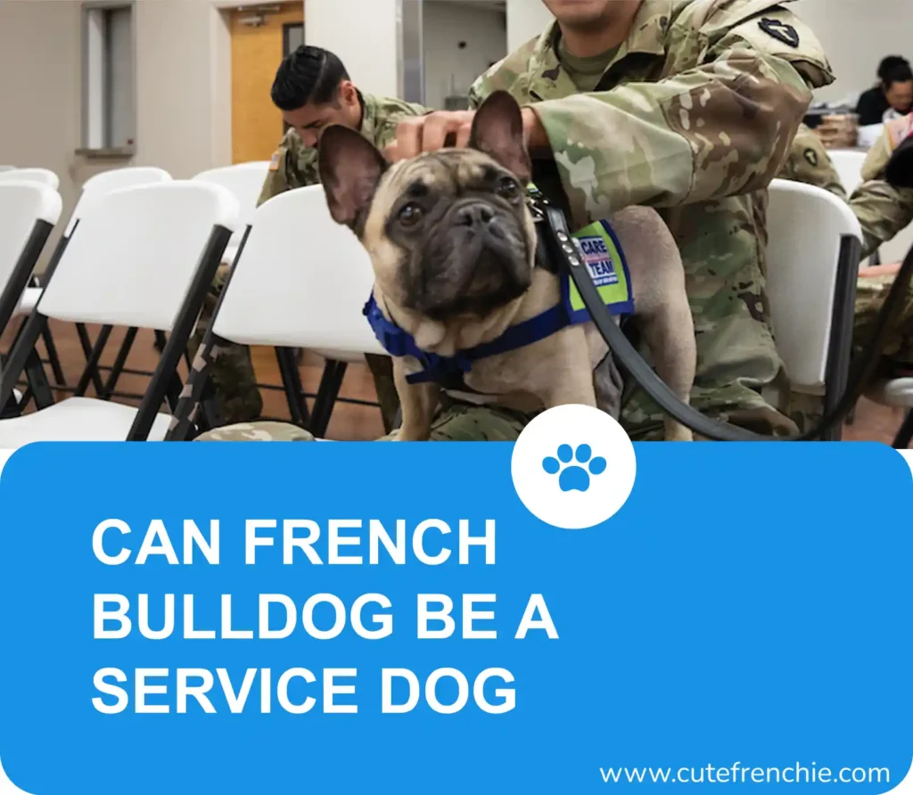 Poster of french bulldog as a service dog