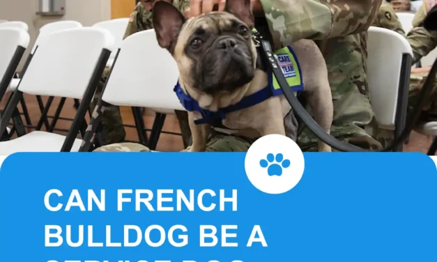 Can French Bulldogs be service dogs