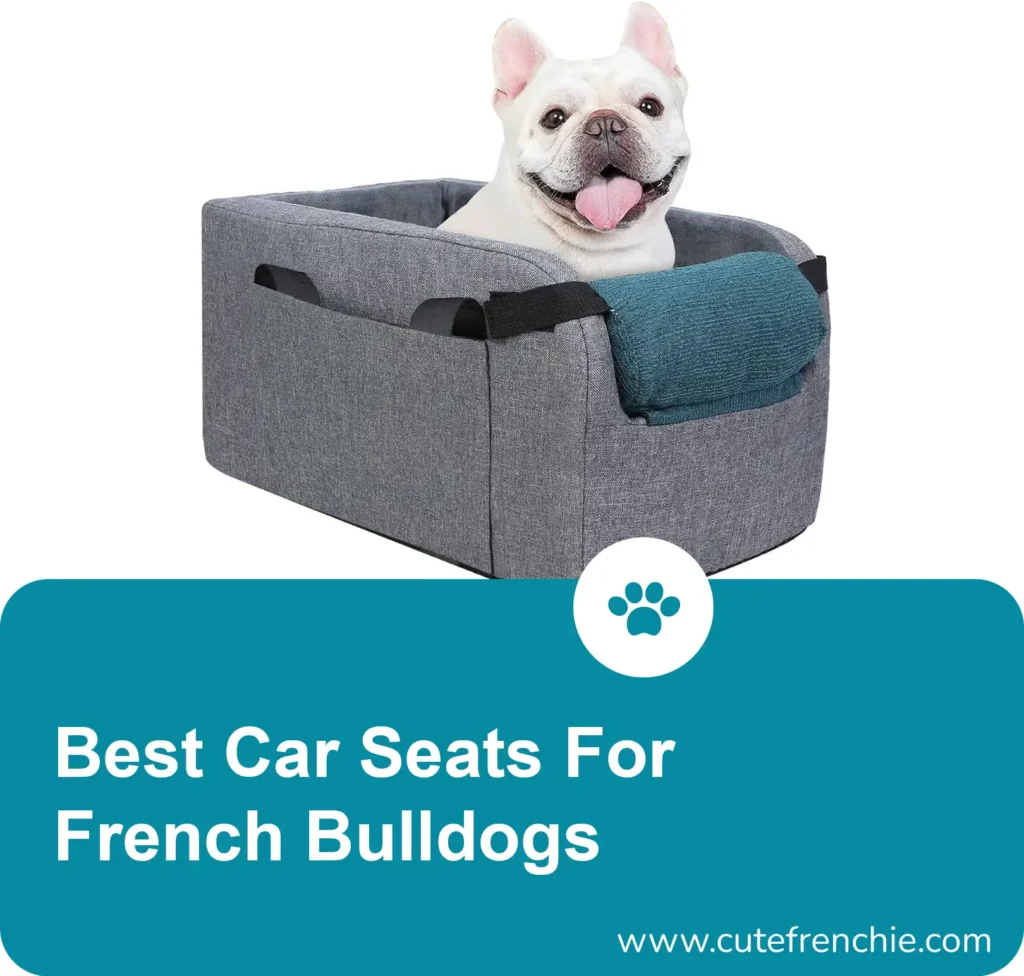 poster of best car seats for french bulldog