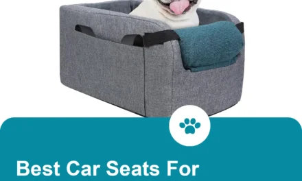 Best French Bulldog car seat