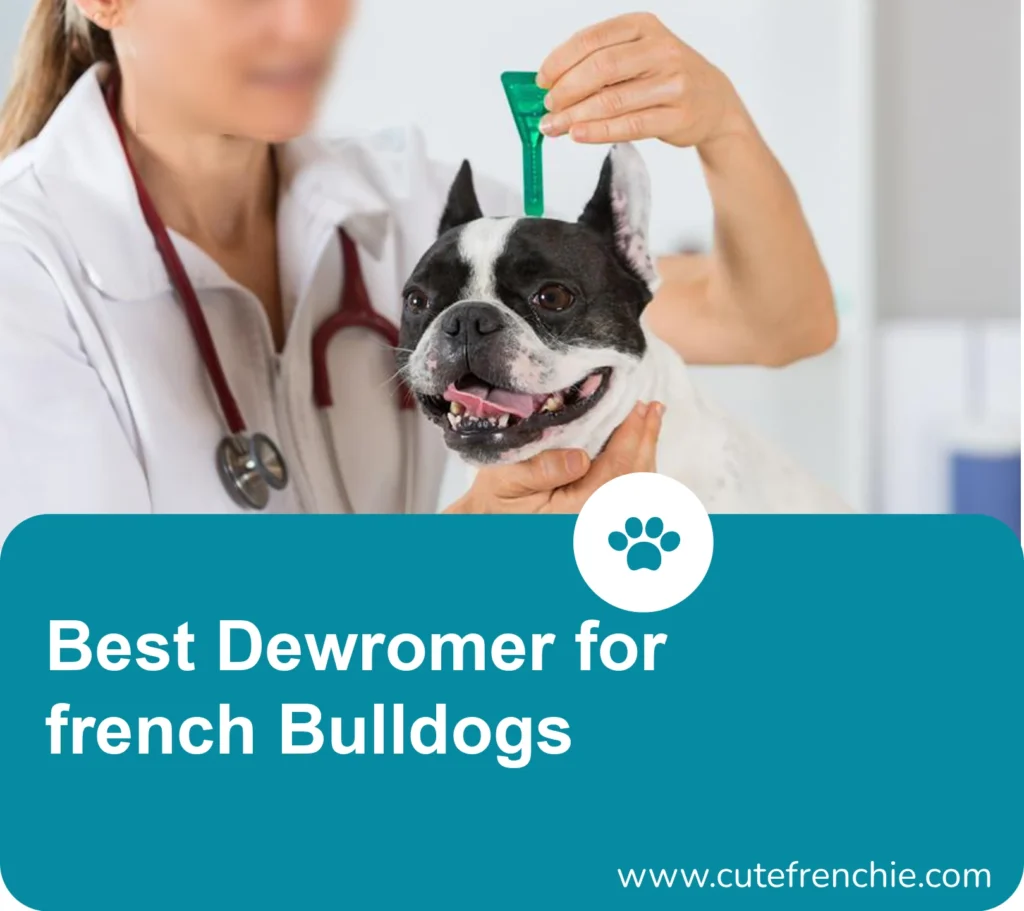 poster of best french bulldog dewormer