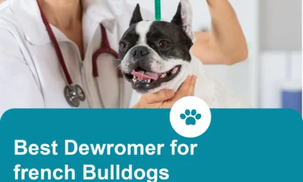 Best French Bulldog dewormer