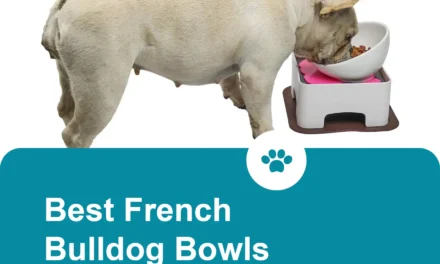 best french bulldog bowls