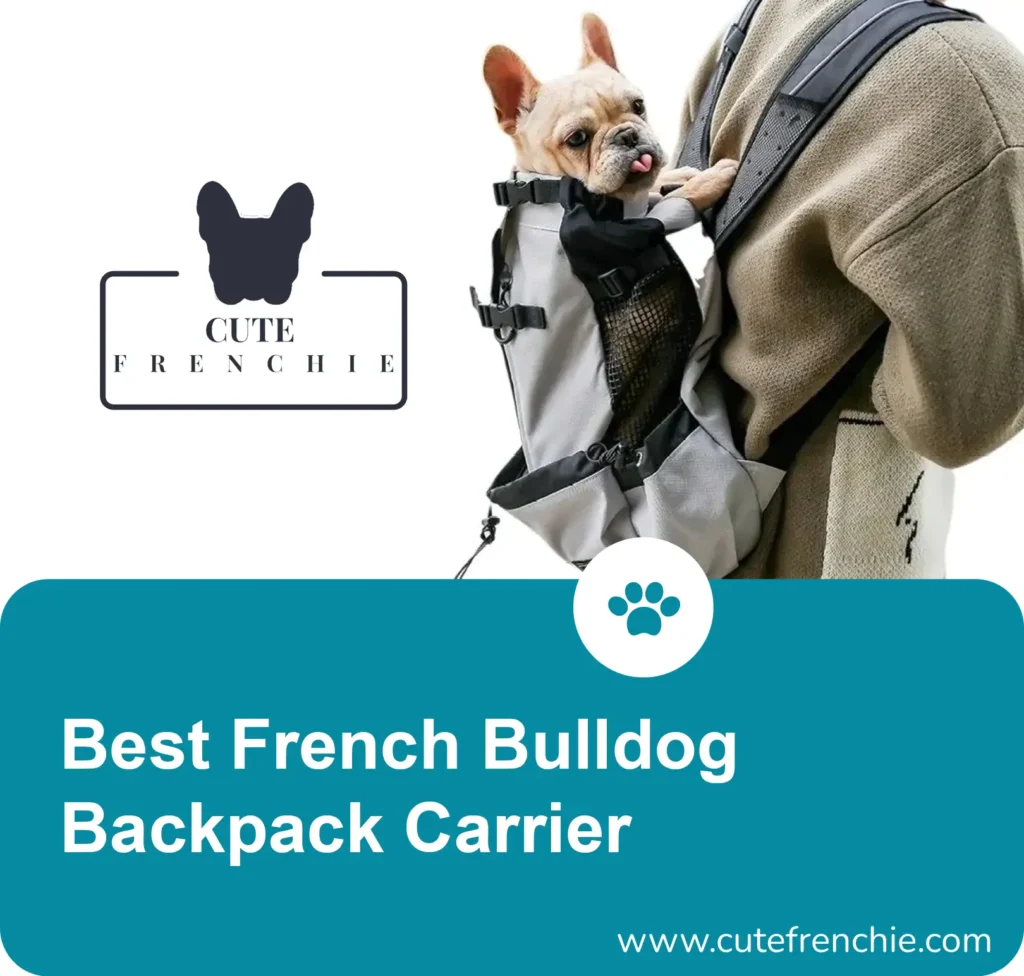 Poster of best French Bulldog backpack carrier