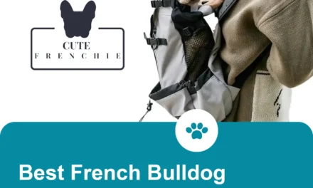 Best French Bulldog backpack carrier