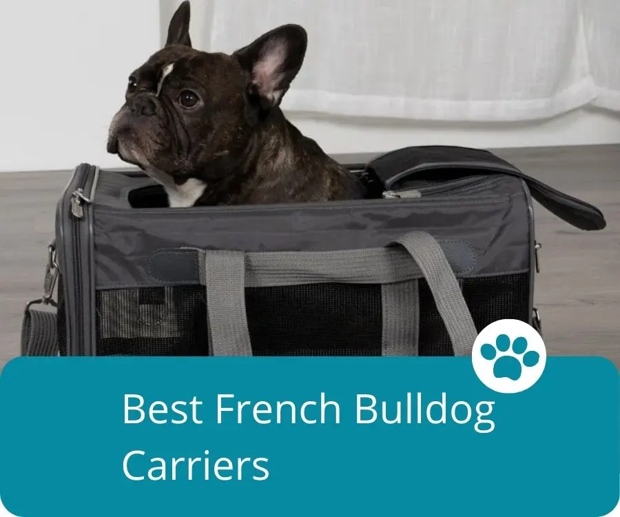 French Bulldog carriers: Stylish and comfortable options for transporting your furry friend. Perfect for travel or trips to the vet