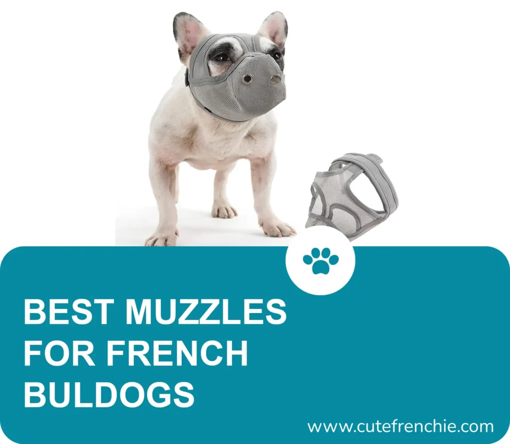 poster of best muzzles for french bulldog
