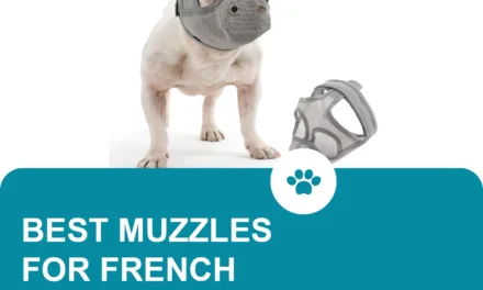 Best French Bulldog muzzle
